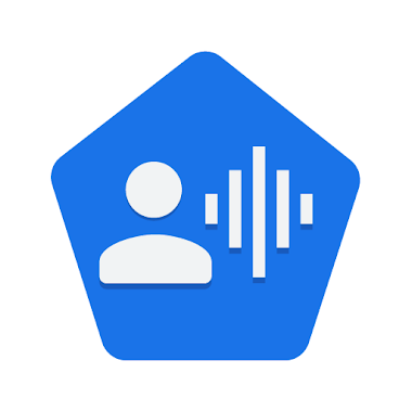 Voice Access - icon