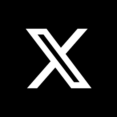 X 图标