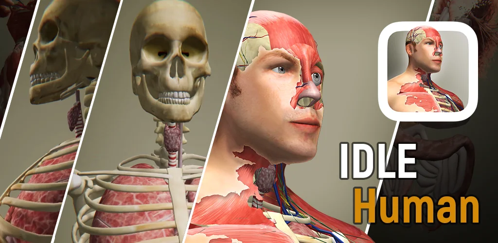 Idle Human jogo arte da capa para Android