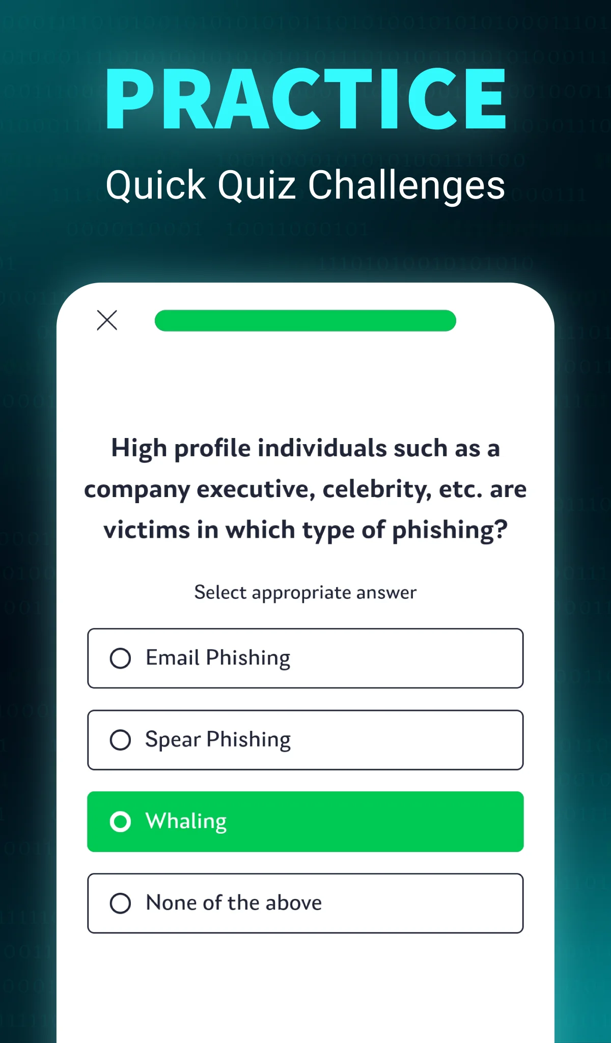 Screenshot Learn Ethical Hacking: HackerX 4
