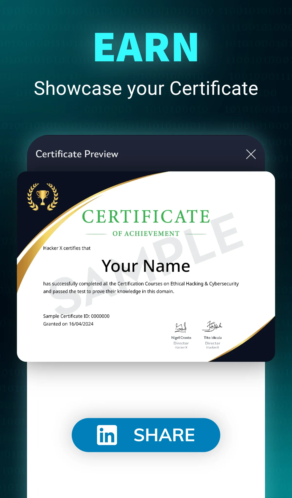 Screenshot Learn Ethical Hacking: HackerX 5