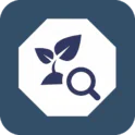 Download Deleted Photo Recovery APK