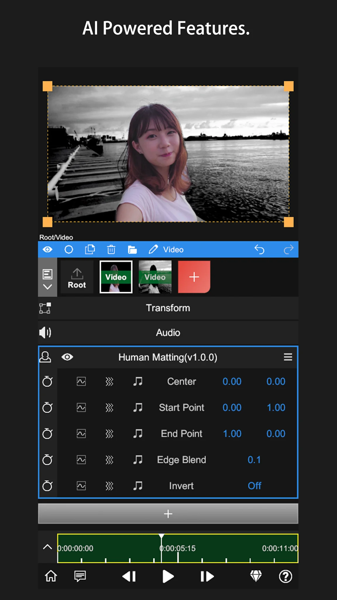 Node Video képernyőkép 6