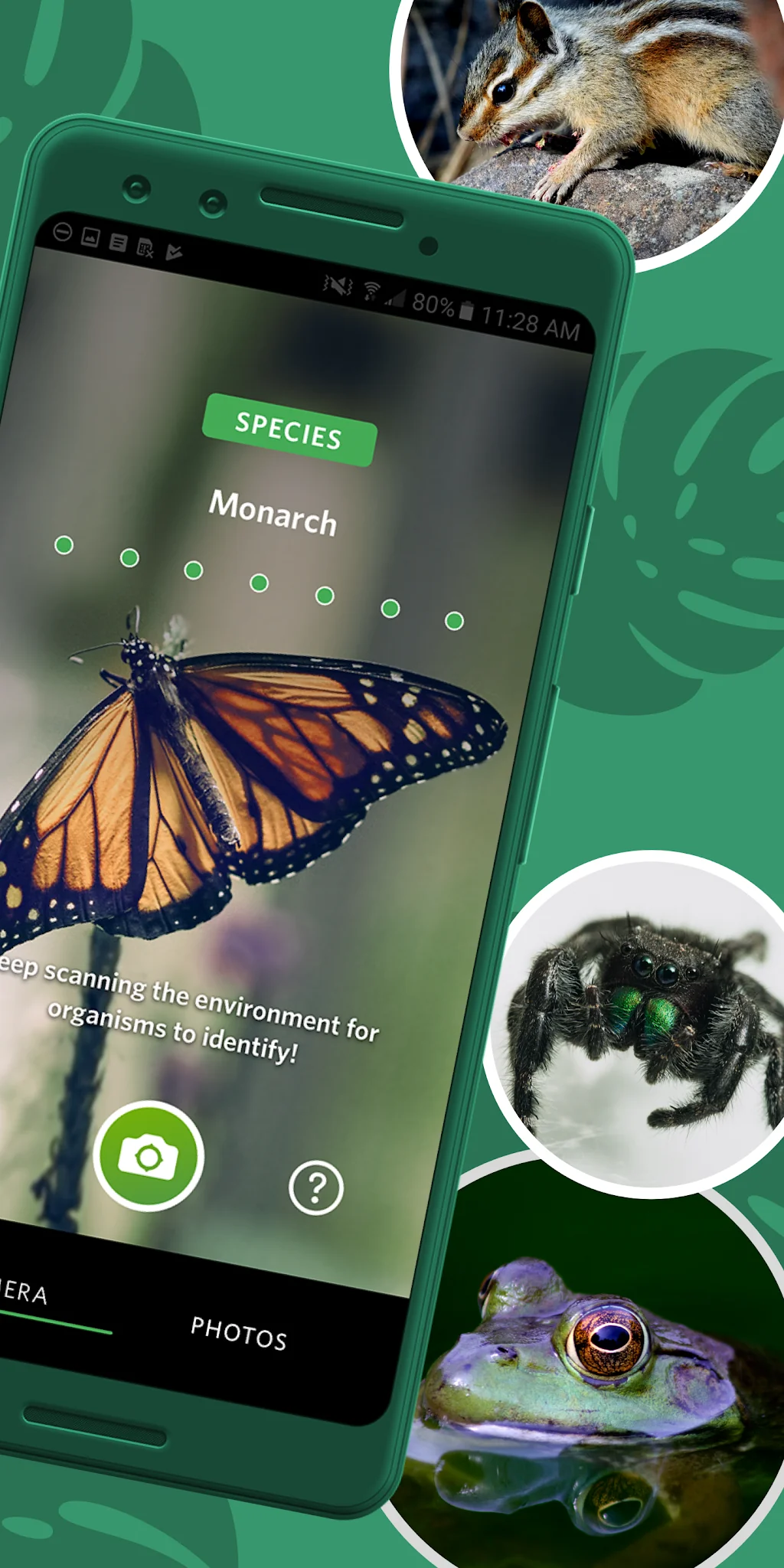 Captura de pantalla Seek, por iNaturalist 2