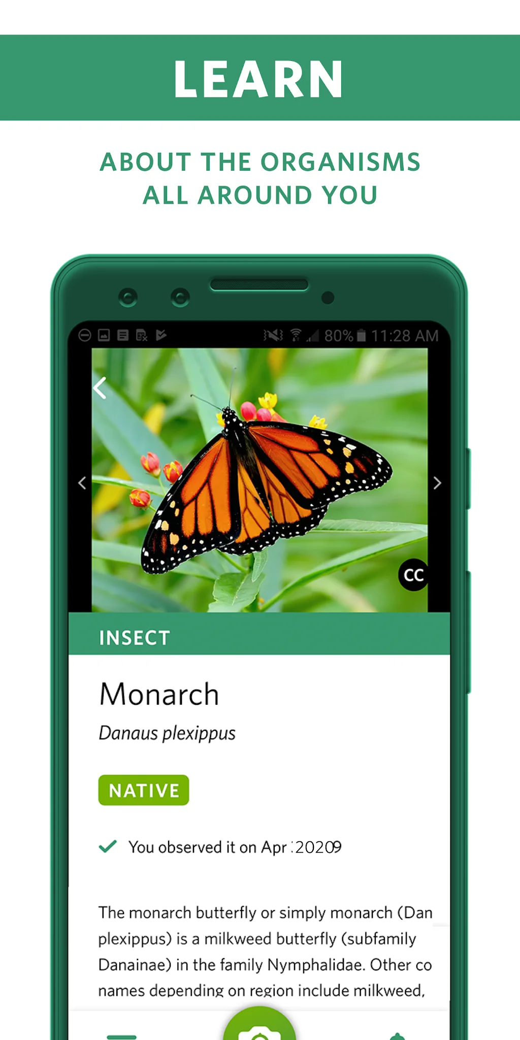 Captura de pantalla Seek, por iNaturalist 3