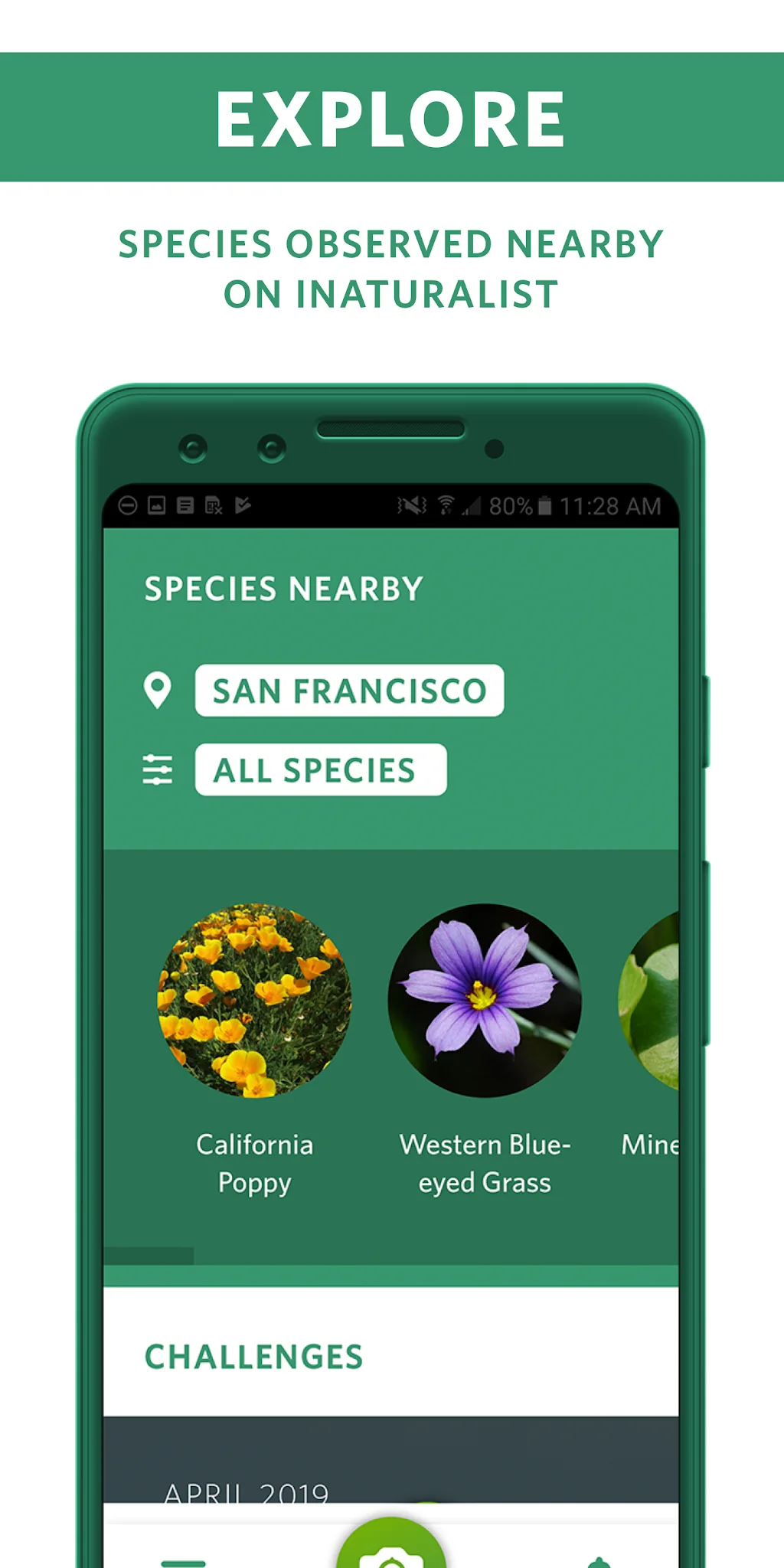 Captura de pantalla Seek, por iNaturalist 5