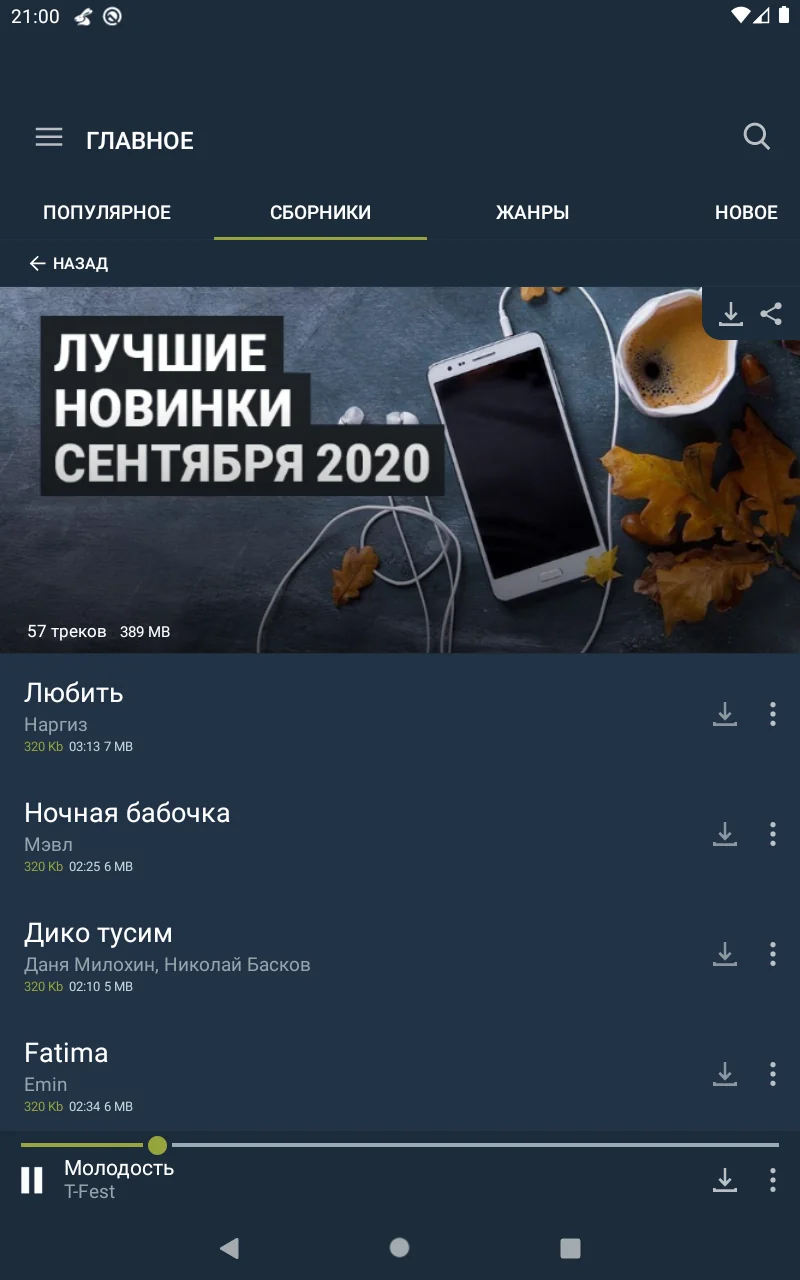 Скриншот Zay.Музыка 6