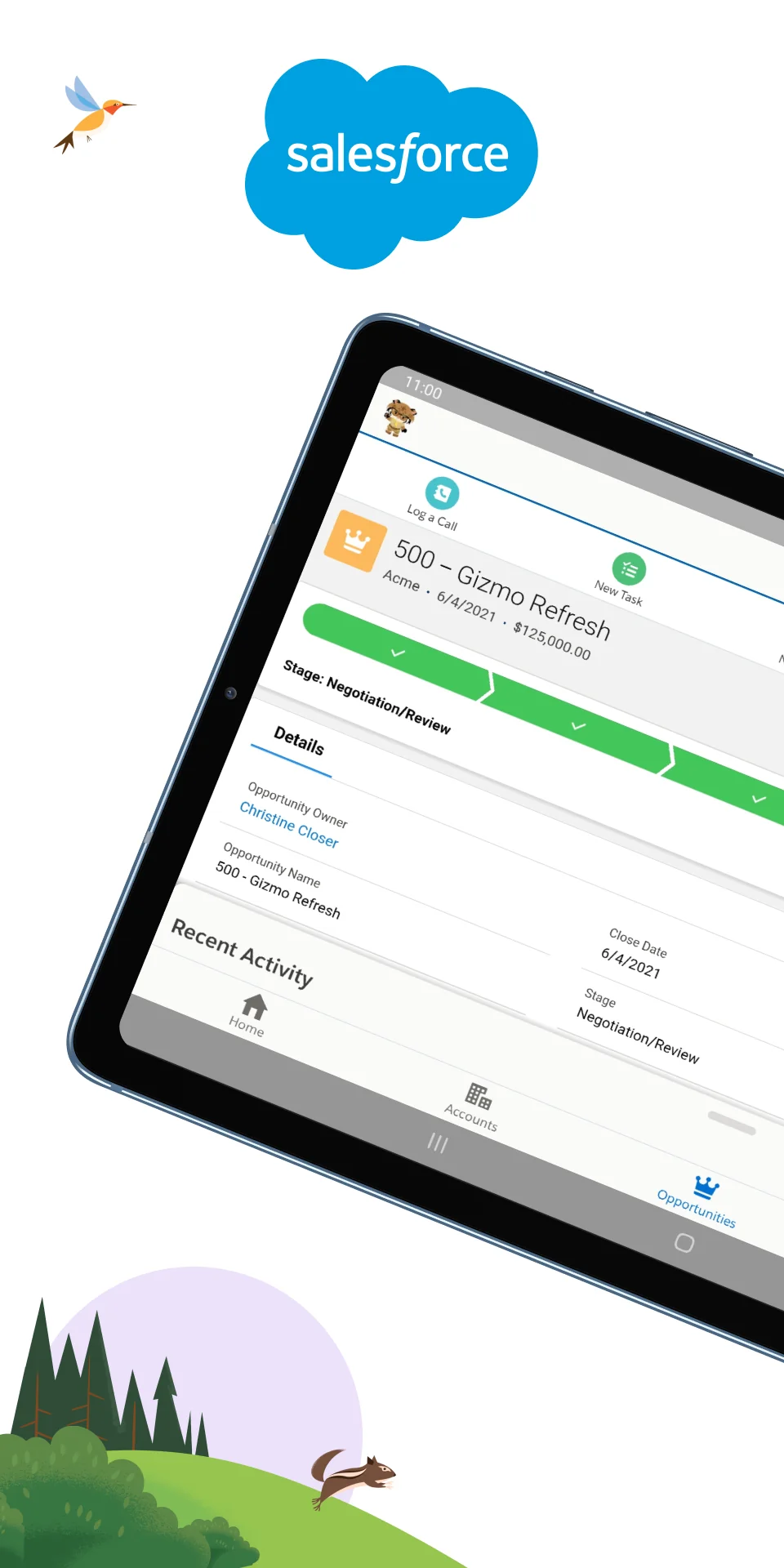 Capture d'écran Salesforce 6