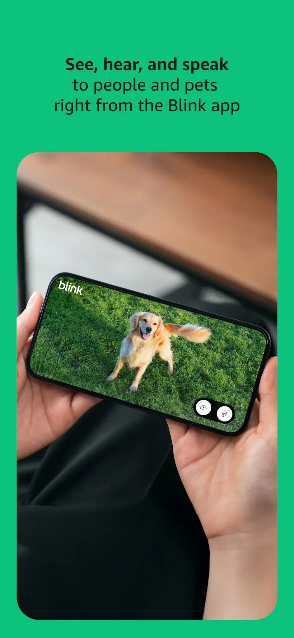 Capture d'écran Blink Home Monitor 3