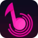 Скачать MusiChic-Offline Music Player APK