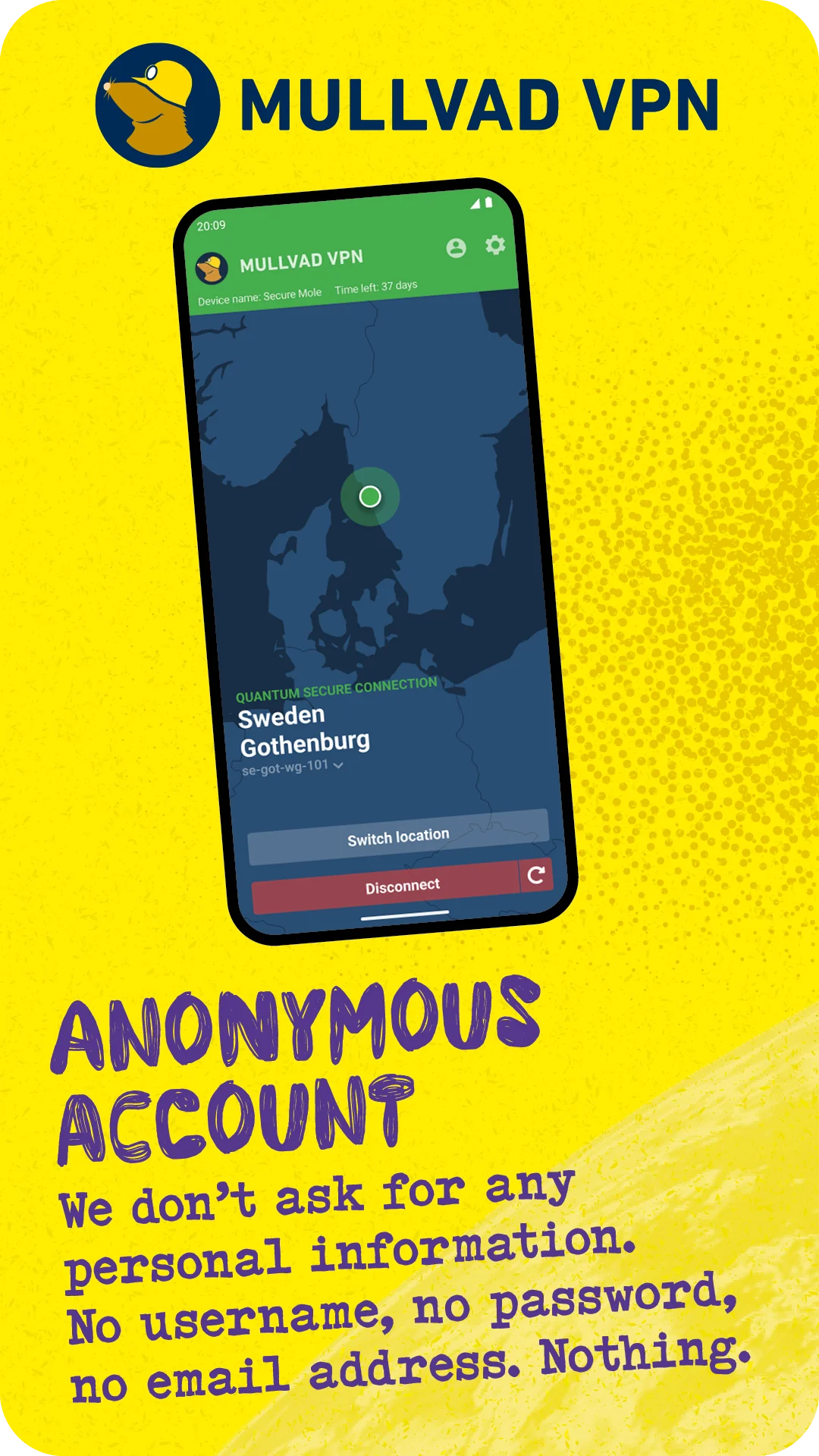 Captura de tela Mullvad VPN 1