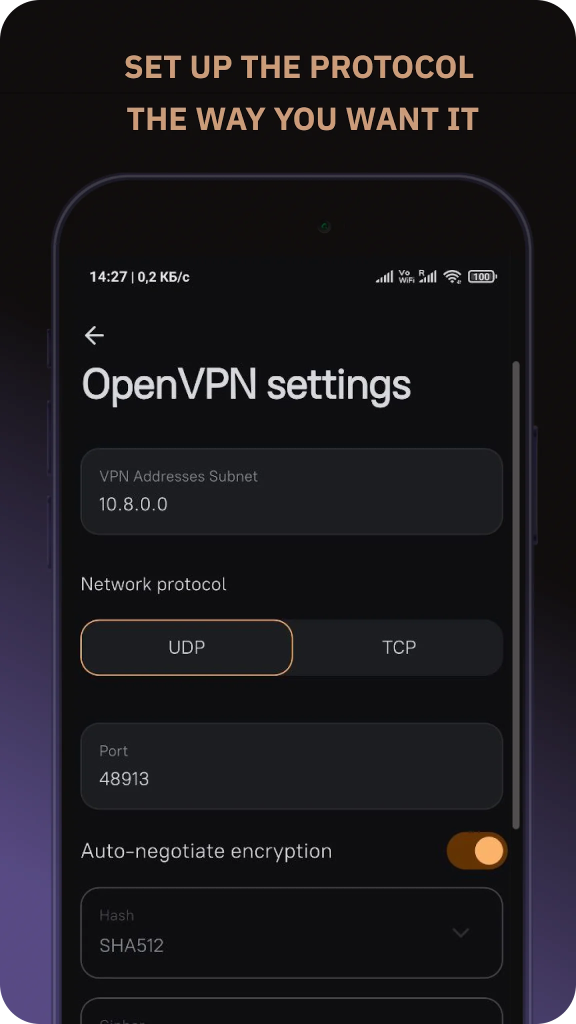 Screenshot Amnezia VPN 7