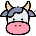 AoxVPN