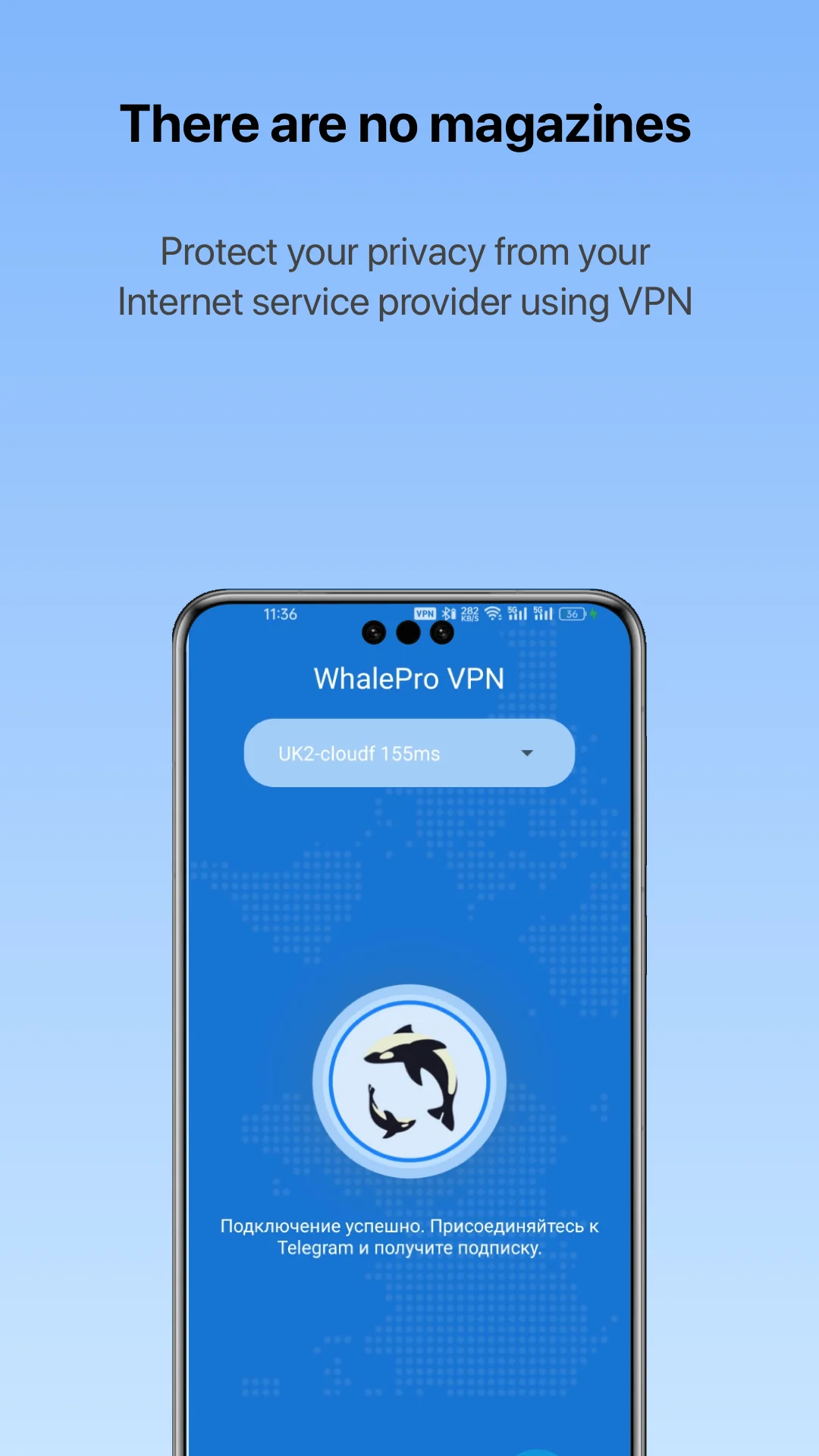 Captura de tela VPN-Whale VPN 2