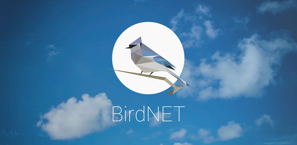 BirdNET приложение обложка для Android