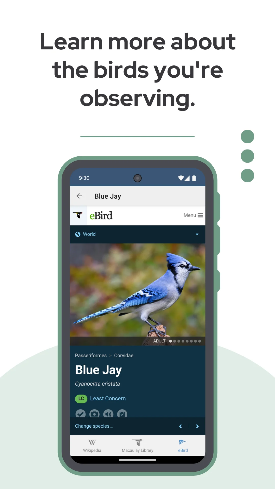 Скриншот BirdNET 6