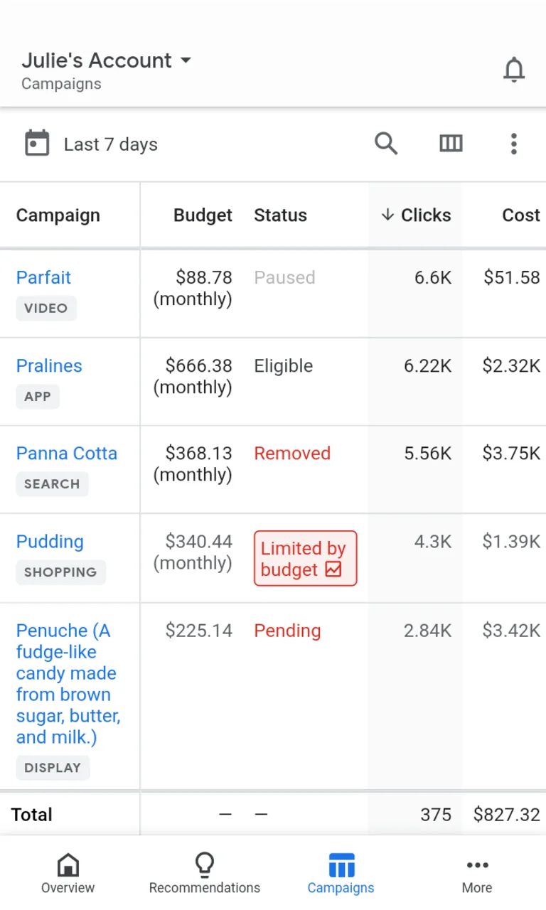 Στιγμιότυπο Google Ads 3