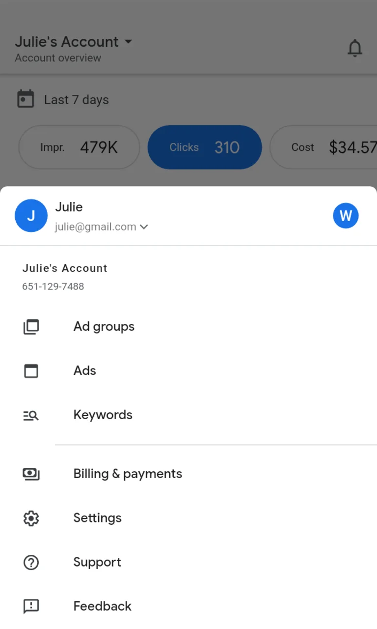 Στιγμιότυπο Google Ads 4