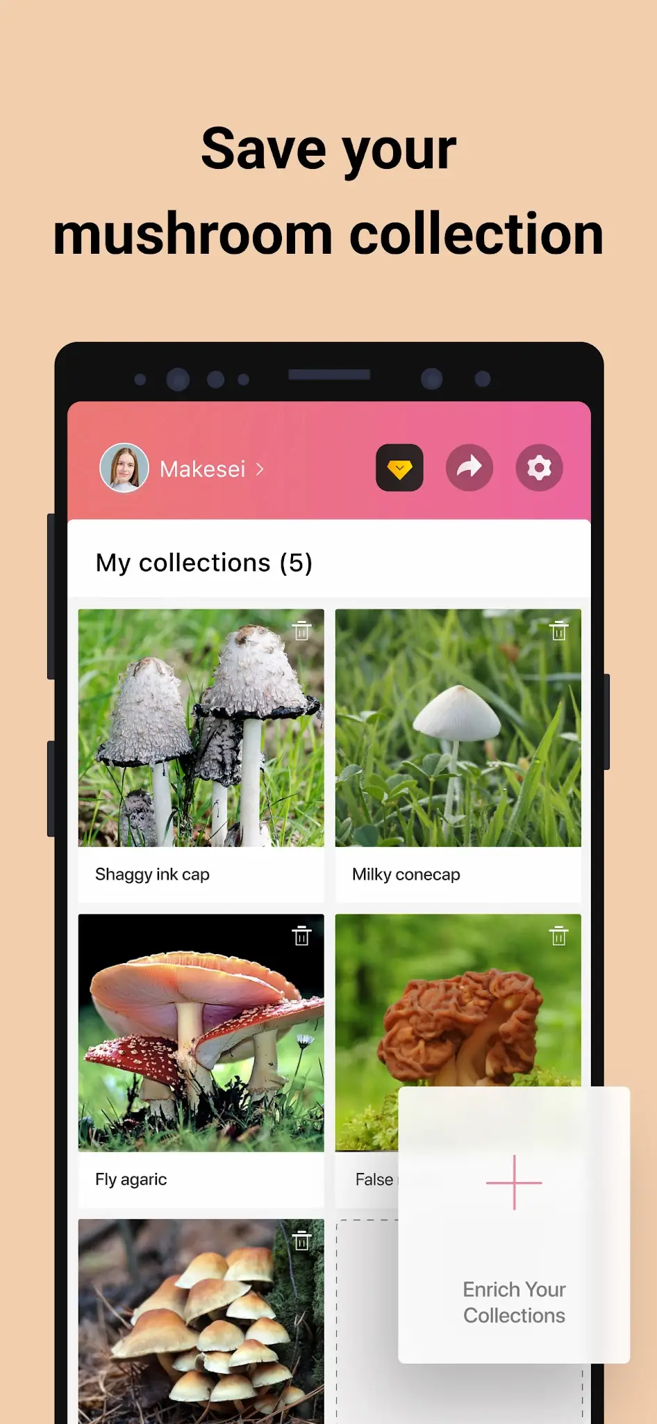 لقطة شاشة Picture Mushroom - تحديد الفطر %د