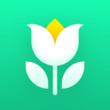Plant Parent - Der Pflegeguide