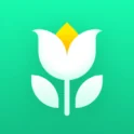 Plant Parent: Plant Care Guide
