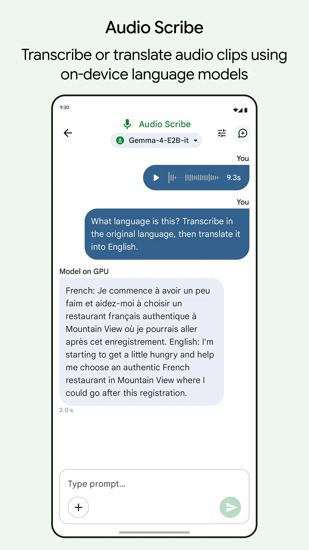 Ảnh chụp màn hình Google AI Edge Gallery 5