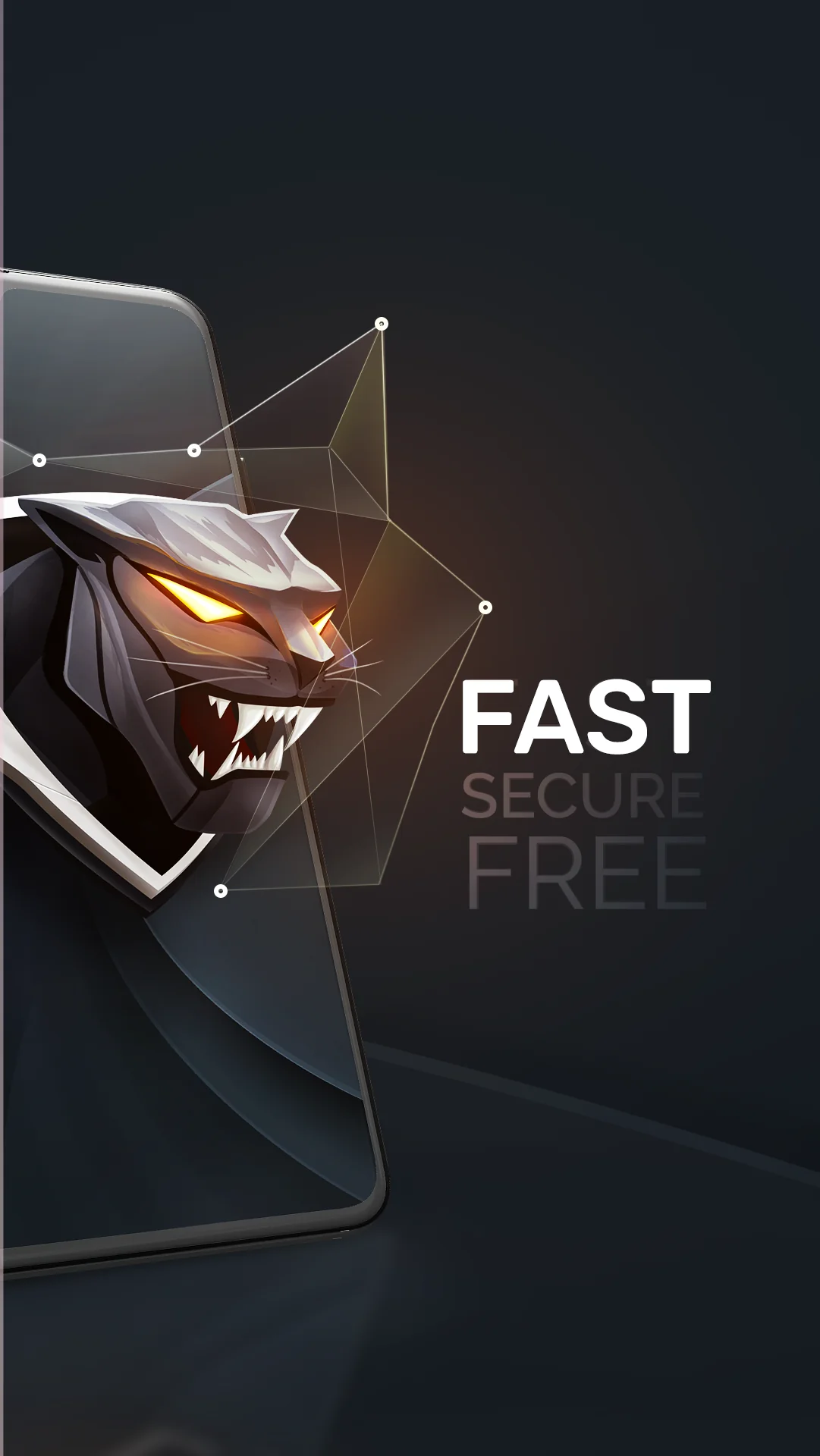 Ekran Görüntüsü Tiger VPN 2