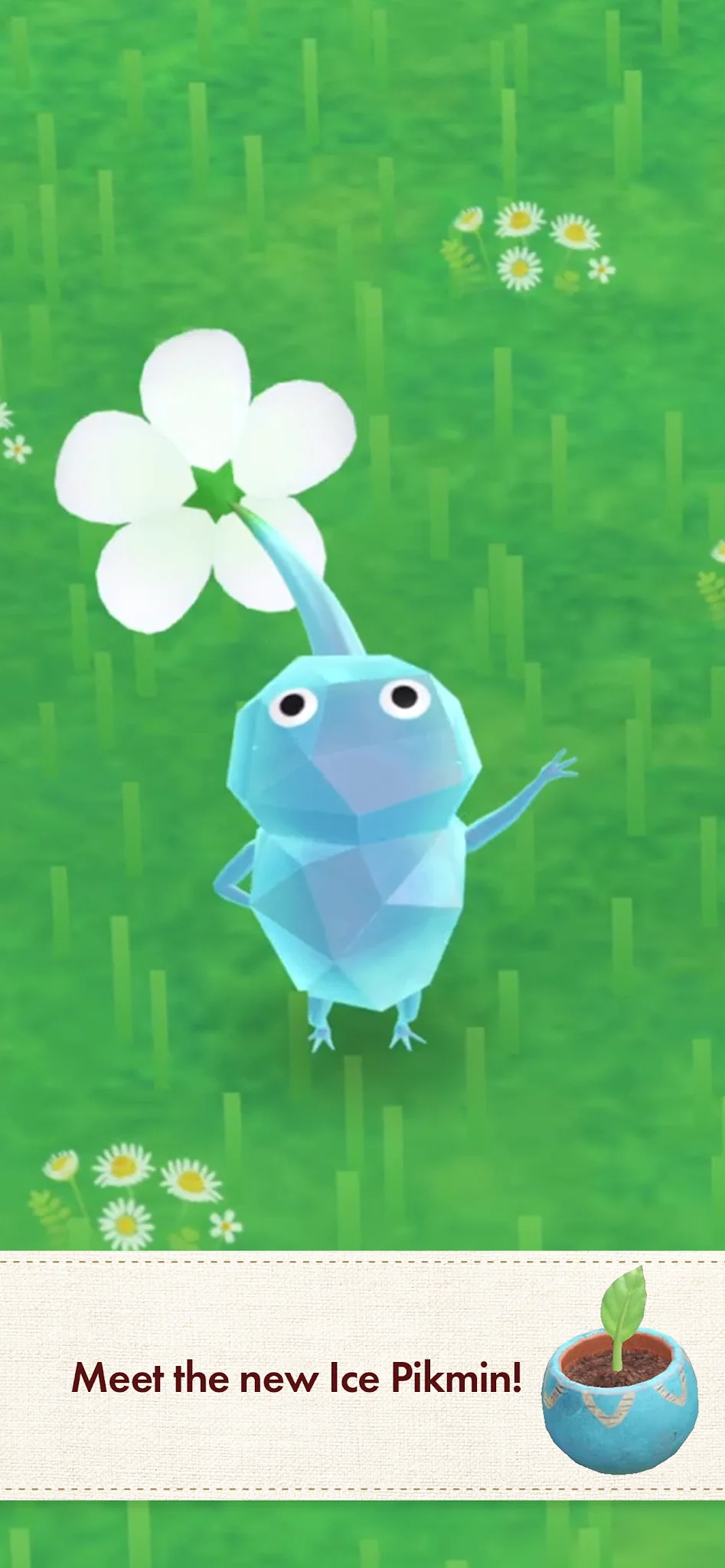 截图 Pikmin Bloom 2