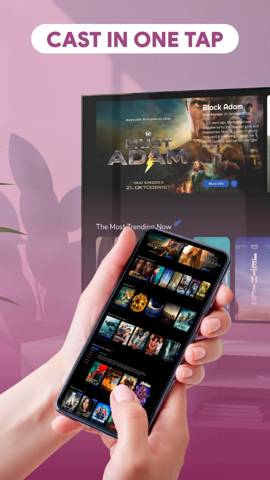 AI Mirror: Screen Mirroring TV screenshot 1