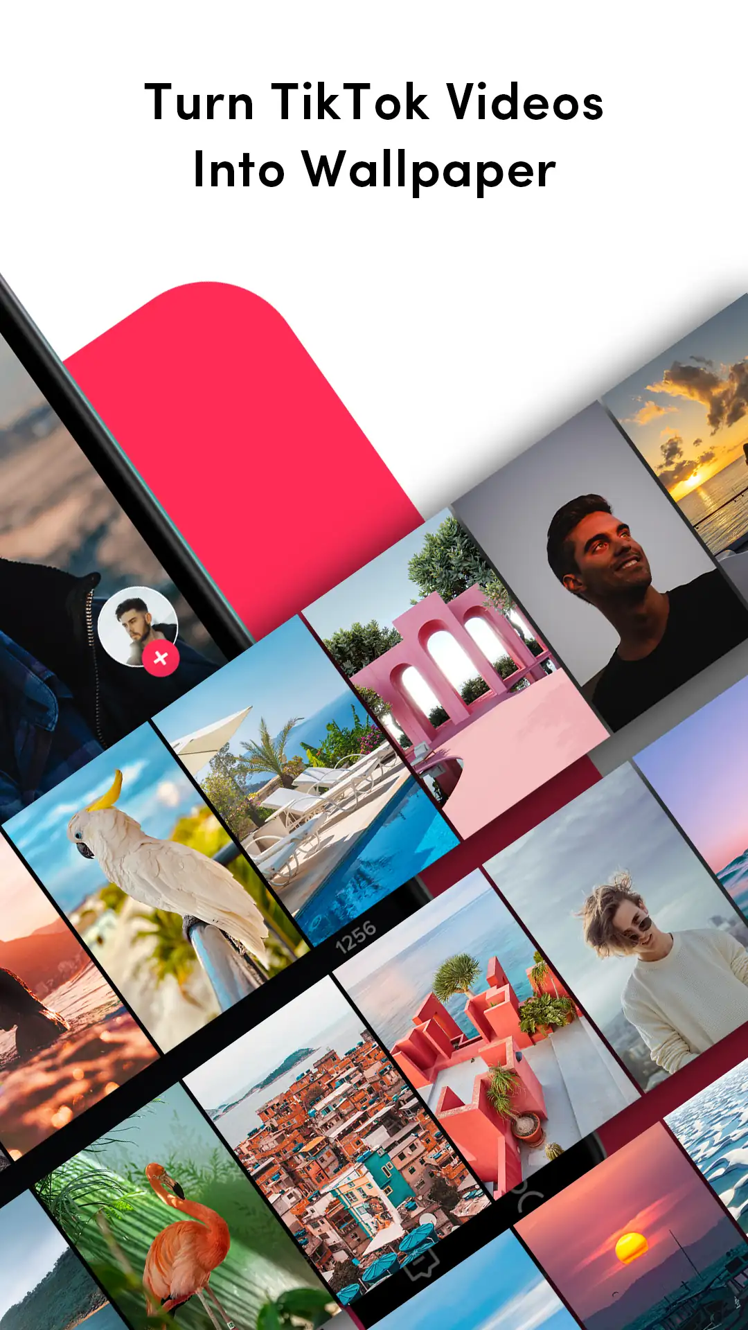 TikTok Live Wallpaper 截图 2
