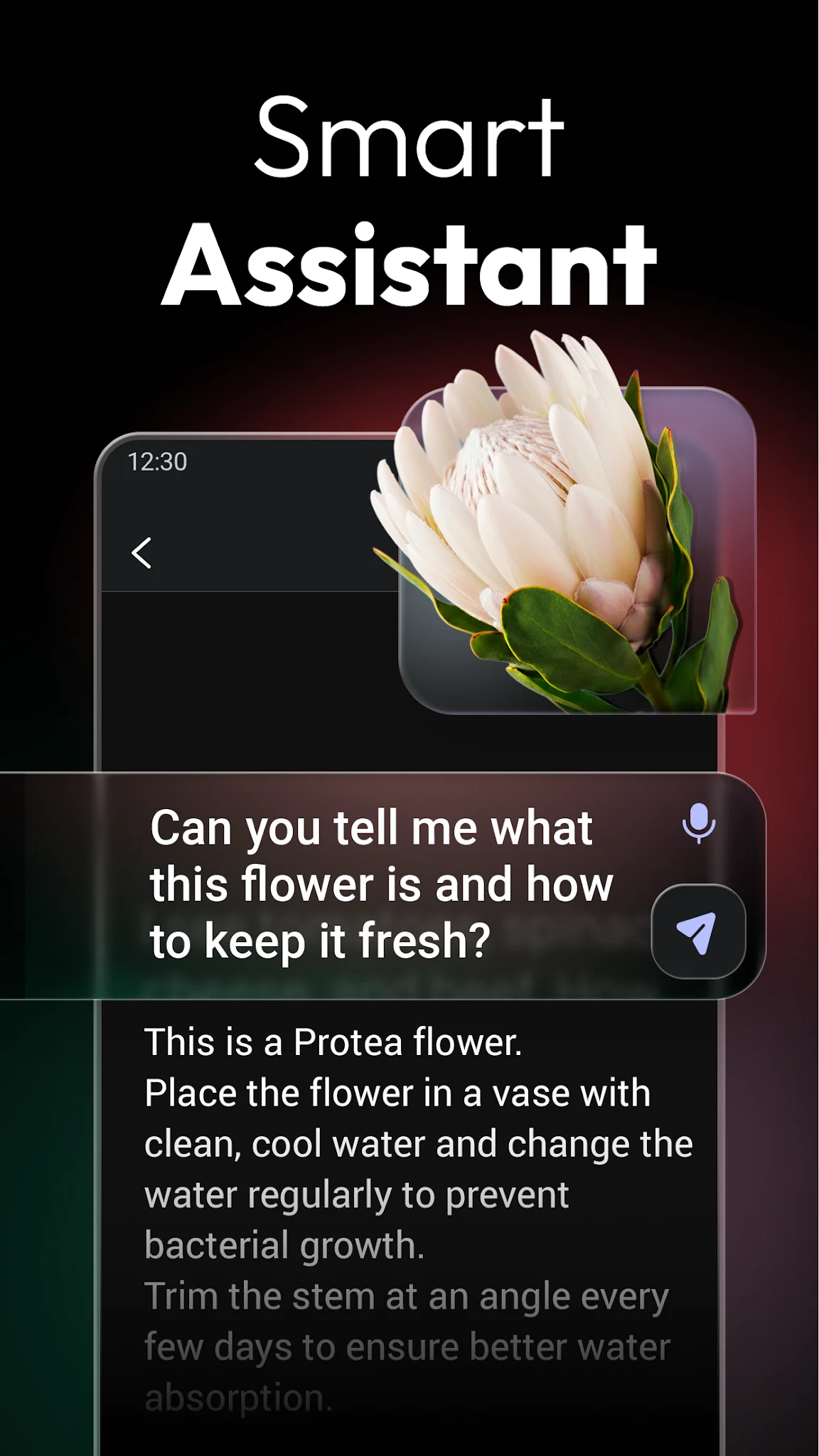 ChatOn - AI Chat Bot Assistant скриншот 2
