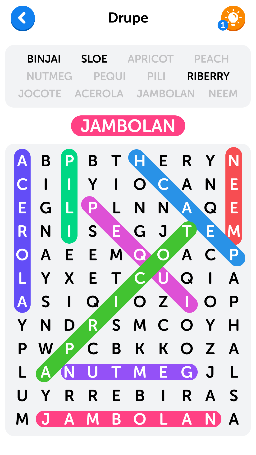 Word Search 截图 2