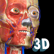 Anatomy Learning 아이콘