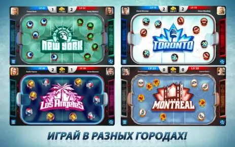Скриншот Hockey Stars 4