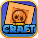 Brawl Craft