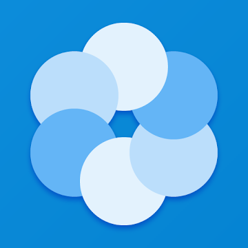 Bluecoins Ikon