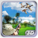 Duck Hunting 3D