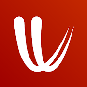 Windy.com - icon