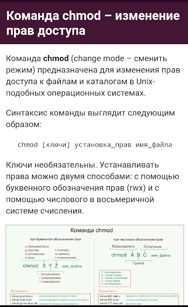 Скріншот Введение в Linux и Bash. Курс 6