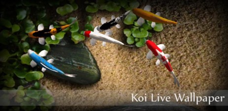 Poster Koi Live Wallpaper Poster Koi Live Wallpaper